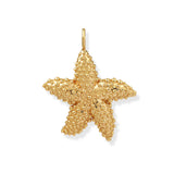 Starfish Charm Leather Necklace