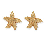 Starfish Earrings