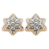 Disco Star Earrings