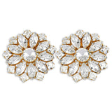 Maksim Diamond Crystal Earrings