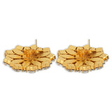 Maksim Diamond Crystal Earrings