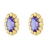 Ninon Oval Citrus Jam & Amethyst Earrings