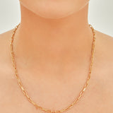 Small Link Chain Necklace in Gold
