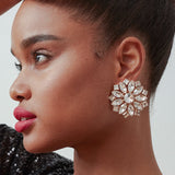 Maksim Diamond Crystal Earrings