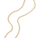 Ninon Rolo Chain Necklace