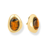 Petra Tigereye Earrings
