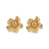 Aurora Wild Rose Earrings