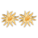 Mehry Earrings