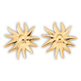 Mehry Earrings